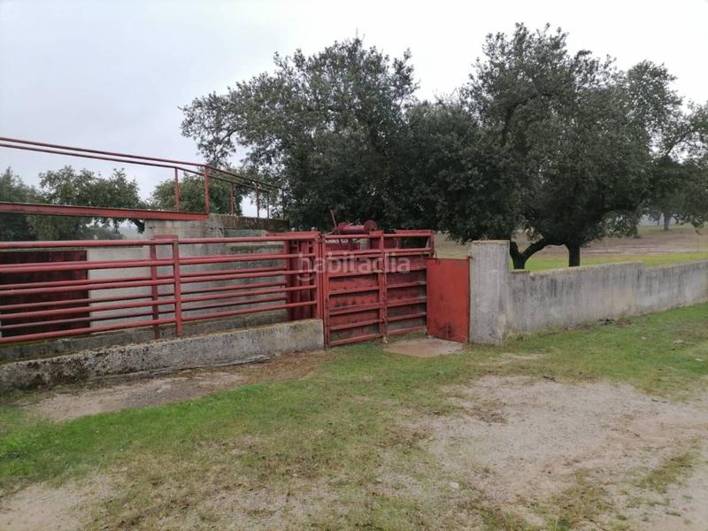 Foto 4c3fb080-ed60-406e-b079-794e4e9019e9. Rural plot in Alameda de Gardón (La)