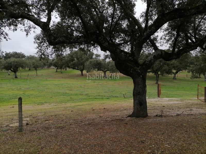 Foto 4db4adfb-61ae-4f27-a103-d69e682ad80a. Rural plot in Alameda de Gardón (La)