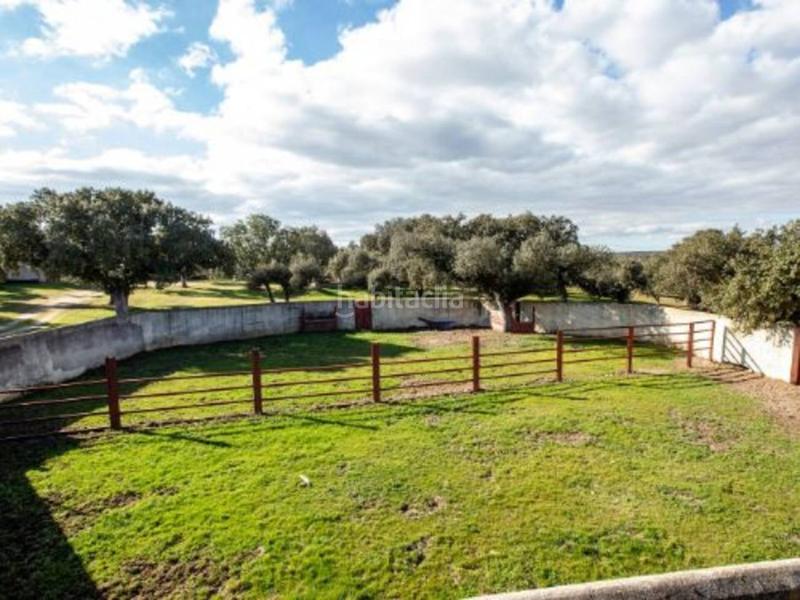 Foto 600f94dd-ecaf-431f-8e77-5b21fecda9ca. Rural plot in Alameda de Gardón (La)