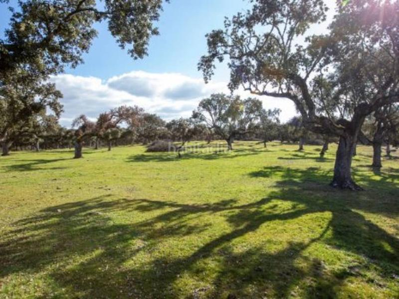 Foto 6183a541-ec47-4019-ac19-3230ca5282ef. Rural plot in Alameda de Gardón (La)