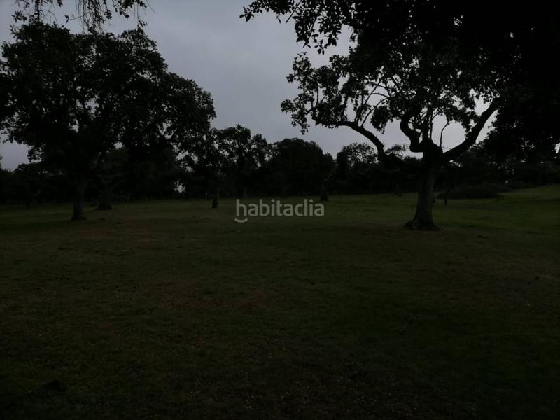Foto 62670409-2e2b-4dd1-88b4-b475ae806433. Rural plot in Alameda de Gardón (La)