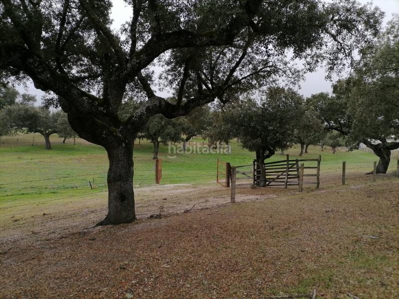 Foto 7b2e6a67-cd39-403b-afd4-6f1fe255153b. Rural plot in Alameda de Gardón (La)