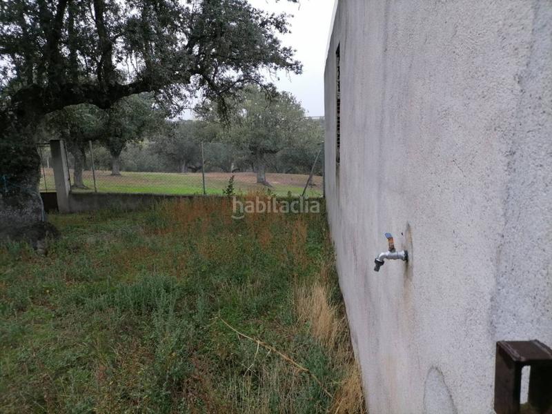 Foto 82d84cd5-c27e-42e9-b6db-dc011966cdec. Rural plot in Alameda de Gardón (La)