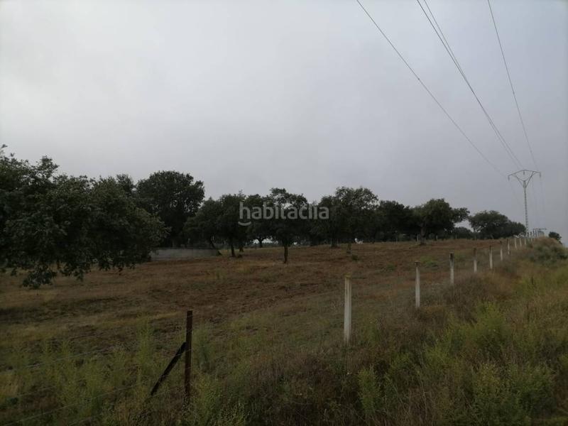 Foto 864fb400-f673-4261-9ca6-78262f62015c. Rural plot in Alameda de Gardón (La)