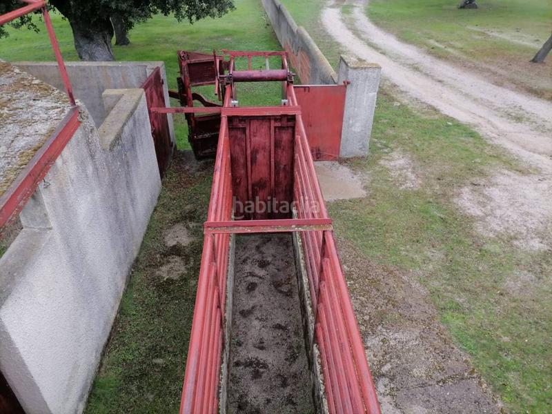 Foto 98c2112b-c959-4ccc-bdc9-7eeaad19c615. Rural plot in Alameda de Gardón (La)