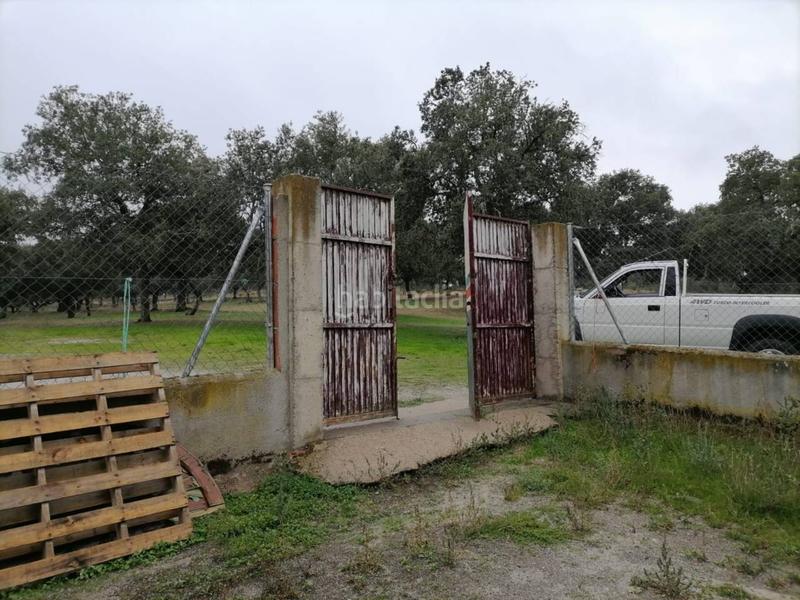 Foto a0d1d669-1469-4629-94c3-8ec857991bf2. Rural plot in Alameda de Gardón (La)