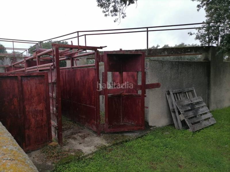 Foto a17da199-09f2-4ff5-b518-264ca30e77a8. Rural plot in Alameda de Gardón (La)