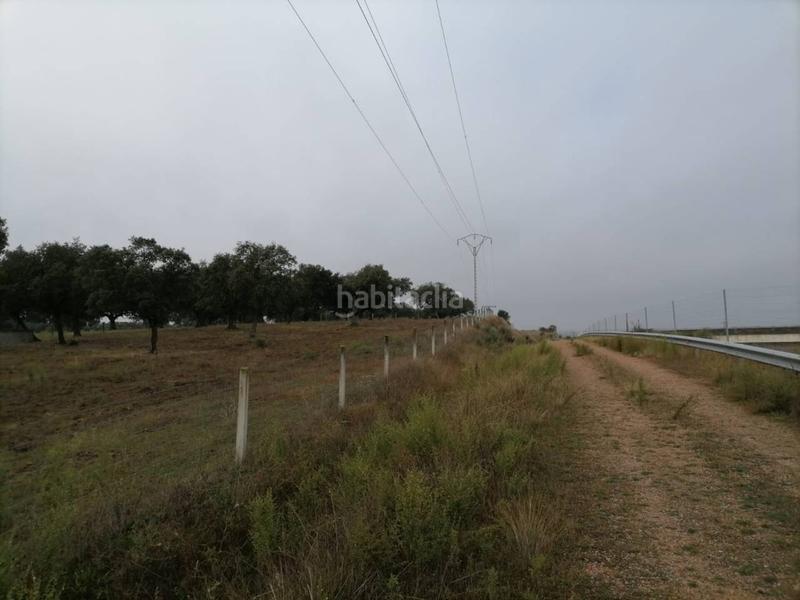 Foto a2c057ca-9546-4e9a-9a34-b7acac432c7c. Rural plot in Alameda de Gardón (La)