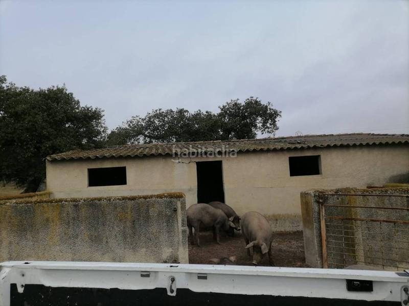 Foto aadcec27-cc52-4f74-8f59-3b9cb01e90d6. Rural plot in Alameda de Gardón (La)