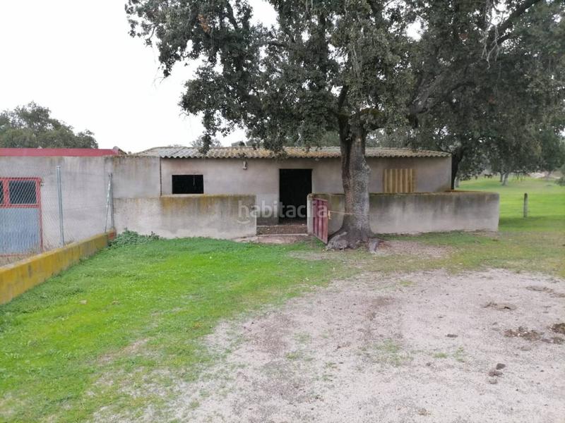 Foto b2a5284f-b1af-4d5d-b3c7-c6bd0bf09a29. Rural plot in Alameda de Gardón (La)