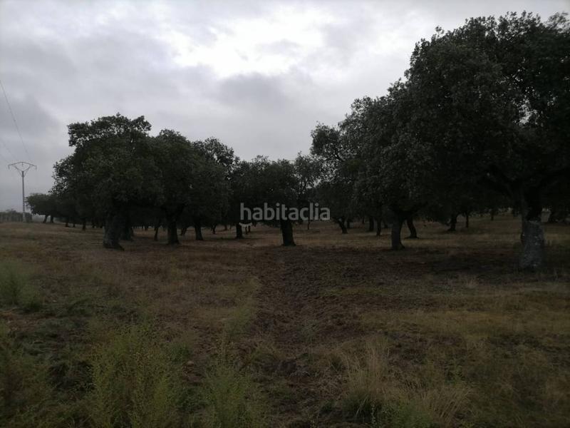 Foto bad1d47d-d5f6-404e-87d8-ee99cdb298b6. Rural plot in Alameda de Gardón (La)