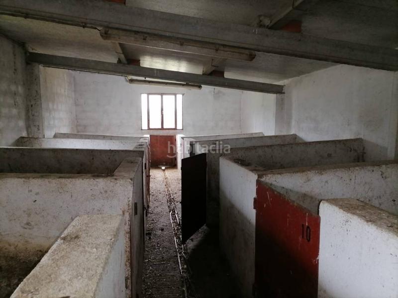 Foto be48acaa-1654-4b15-bb9e-b631df64f240. Rural plot in Alameda de Gardón (La)