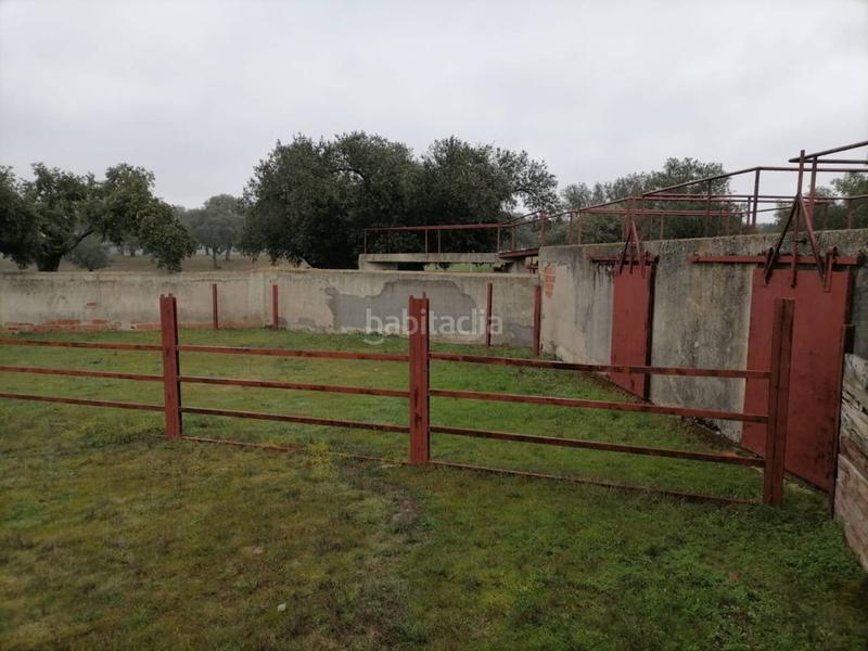 Foto d0770ae7-1b0b-499f-bf9d-546f419c6f11. Rural plot in Alameda de Gardón (La)