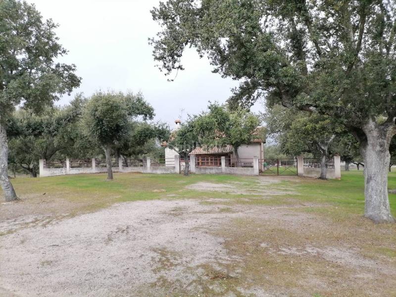 Foto e2468e51-0e24-443e-999b-f34837a06ae1. Rural plot in Alameda de Gardón (La)