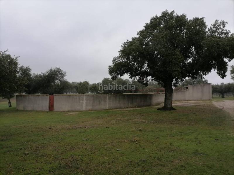 Foto ee458a07-6757-4599-b9ff-8c0f20e1d4d9. Rural plot in Alameda de Gardón (La)