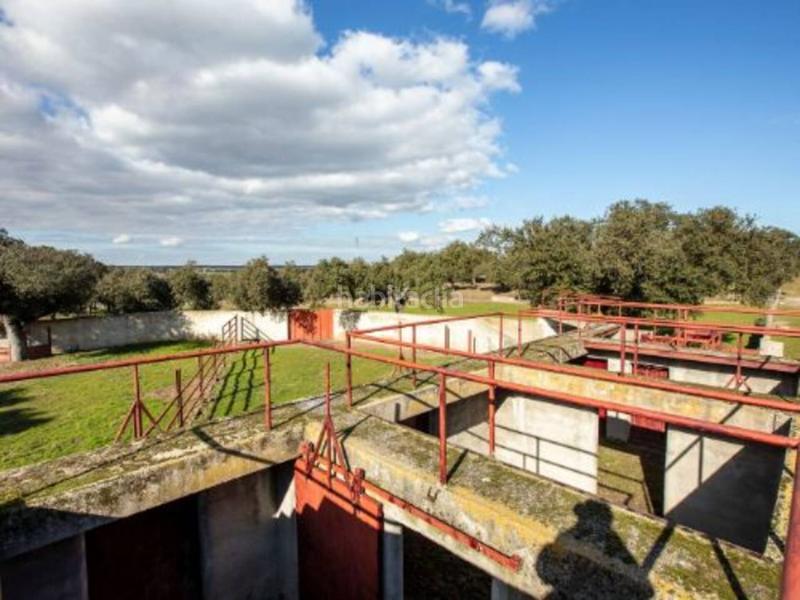 Foto ef7b3a13-4fc0-4422-961f-c01e83d49a9c. Rural plot in Alameda de Gardón (La)