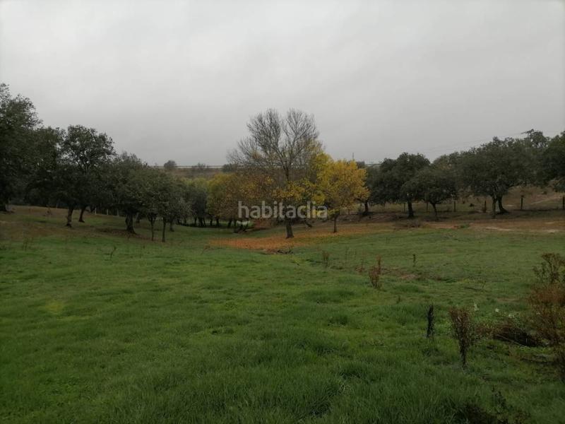 Foto f074a8a0-c0fc-4fb6-97f8-d41cc8e0084d. Rural plot in Alameda de Gardón (La)