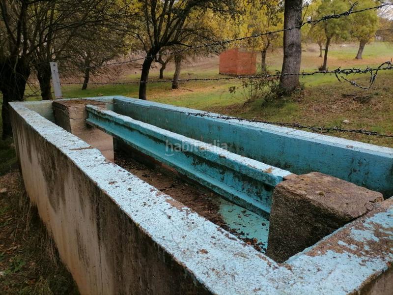 Foto f37ed446-f55a-41d3-904a-8219bacf1128. Rural plot in Alameda de Gardón (La)