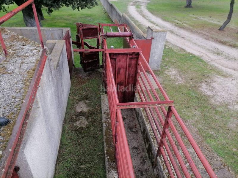 Foto fe3af2ea-01b1-4964-bc2d-ee578145b123. Rural plot in Alameda de Gardón (La)