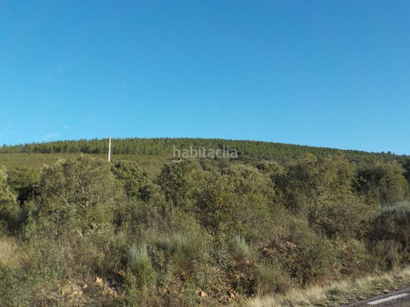 Foto ca0e83a3-128d-4720-9907-c2861c180616. Finca rústica a Serradilla del Arroyo