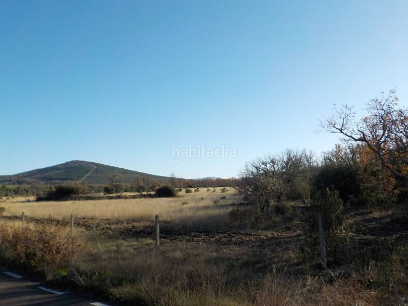 Foto d37042c5-ead1-46bc-8883-19f45bfccb11. Finca rústica a Serradilla del Arroyo
