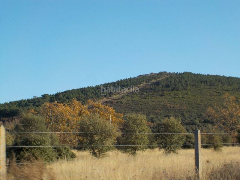 Foto eb39b1a5-76ca-4d9b-a075-88aeea734c8d. Finca rústica a Serradilla del Arroyo