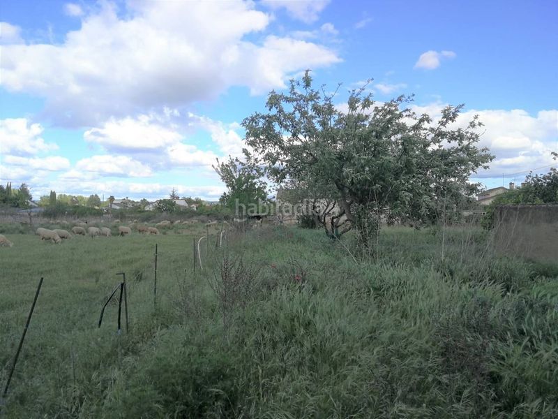 Foto 57ffc080-db26-4a44-b855-aa3c0d2fae62. Finca rústica a Ciudad Rodrigo