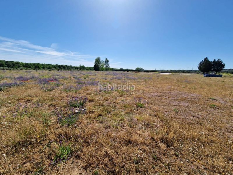 Foto 72e5bd35-878a-4119-a4cc-a0e4a09113e3. Finca rústica a Ciudad Rodrigo