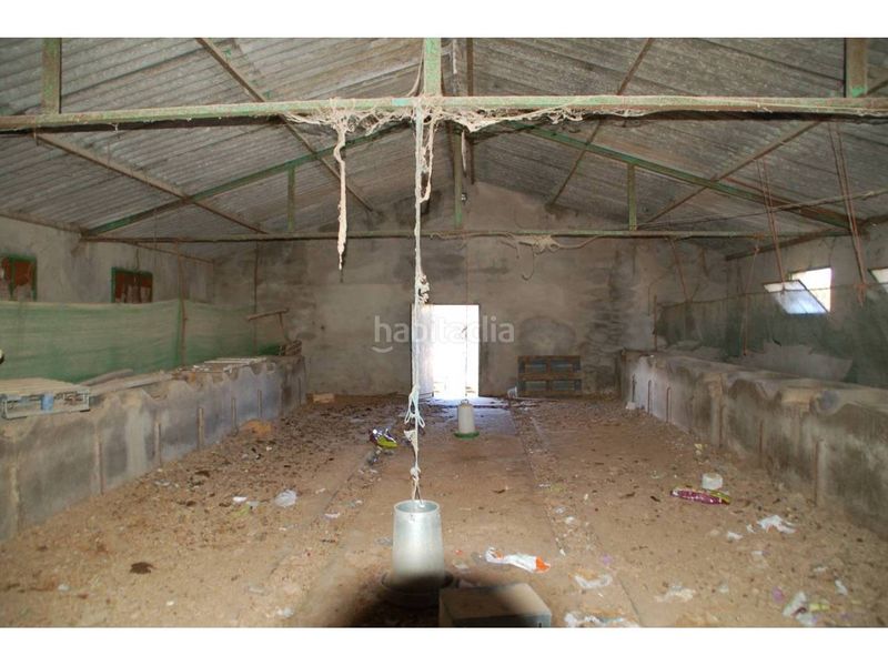 Foto b34aa02d-a43c-41ee-90f4-16f08dc21572. Area edificabile industriale in Payo (El)
