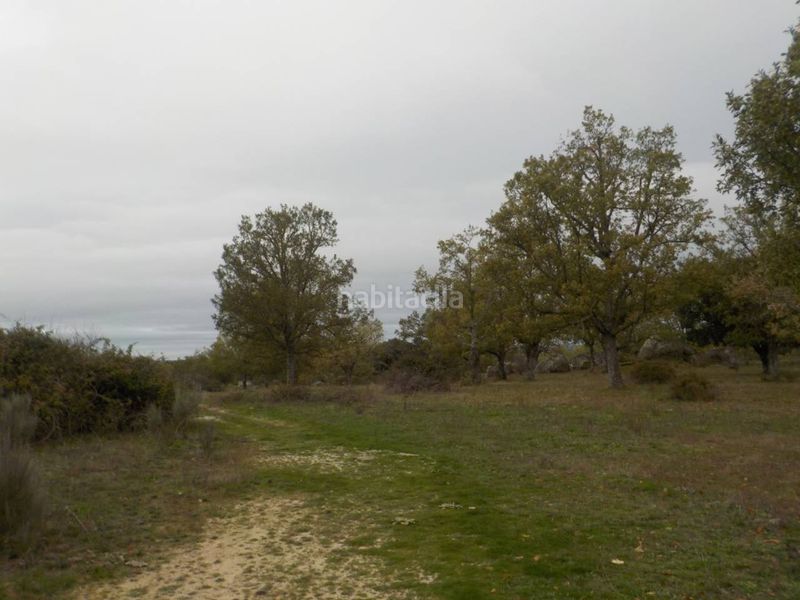 Foto 145d8f75-5c76-4cde-aeed-571a7caebbc5. Finca rústica a Fuenteguinaldo