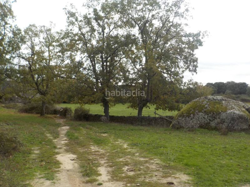 Foto 4f7c9a1d-fe0e-4f74-9e2b-7d73a4fb0ae0. Finca rústica a Fuenteguinaldo