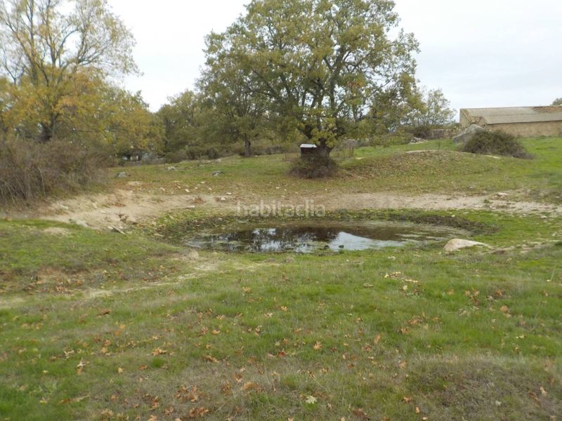 Foto 552a7e81-1687-42a9-a4ba-ff8fa00ad7e0. Finca rústica a Fuenteguinaldo