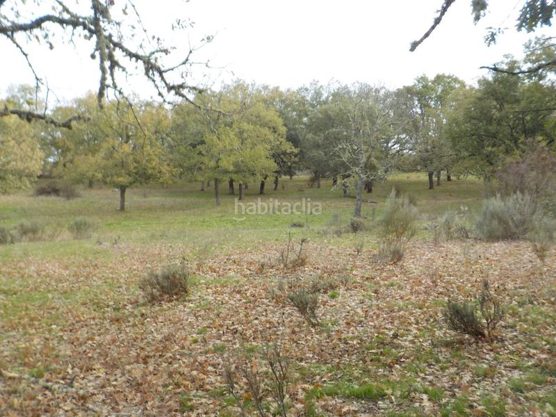 Foto 60fcb612-c694-4da0-aa20-3225e2dffd3a. Finca rústica a Fuenteguinaldo