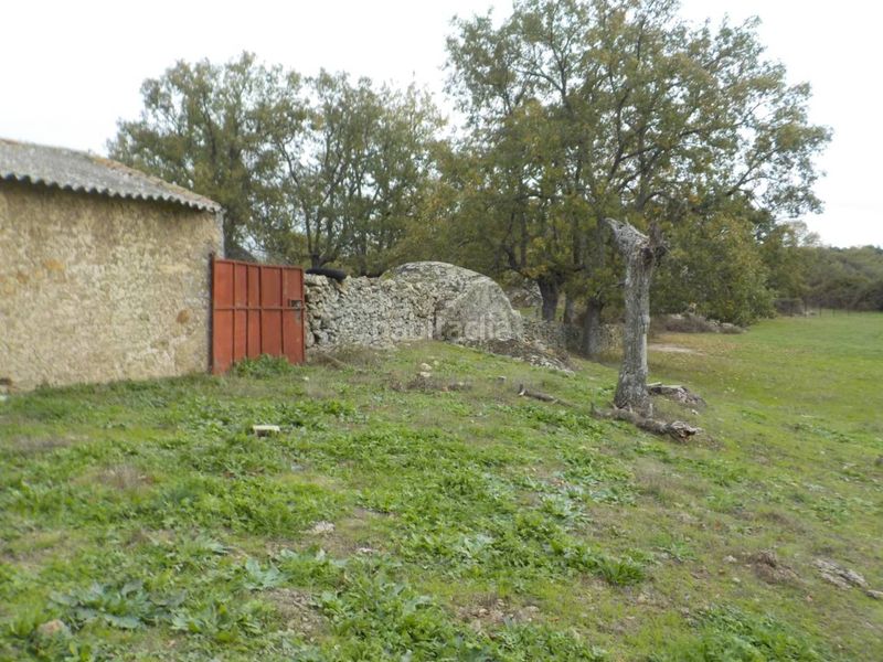 Foto 6141ca93-a788-4d3a-ab39-df8e807e5a64. Finca rústica a Fuenteguinaldo