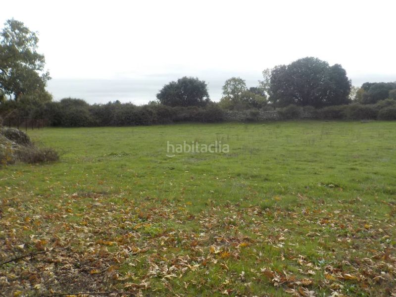 Foto 70b999dc-4c67-43d9-a061-f623e922d2ab. Finca rústica a Fuenteguinaldo