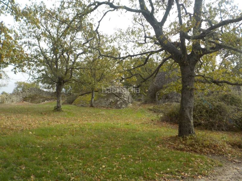 Foto 8a83533b-b85b-4399-8746-6848e4750876. Finca rústica a Fuenteguinaldo