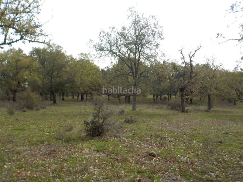 Foto 95141df4-7077-4709-bde2-fb92049975d4. Finca rústica a Fuenteguinaldo