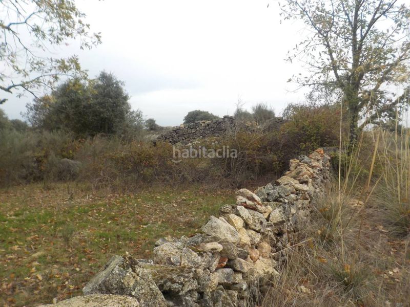 Foto a406e5b1-c60f-4ee2-9e1a-67d07ec07dae. Finca rústica a Fuenteguinaldo