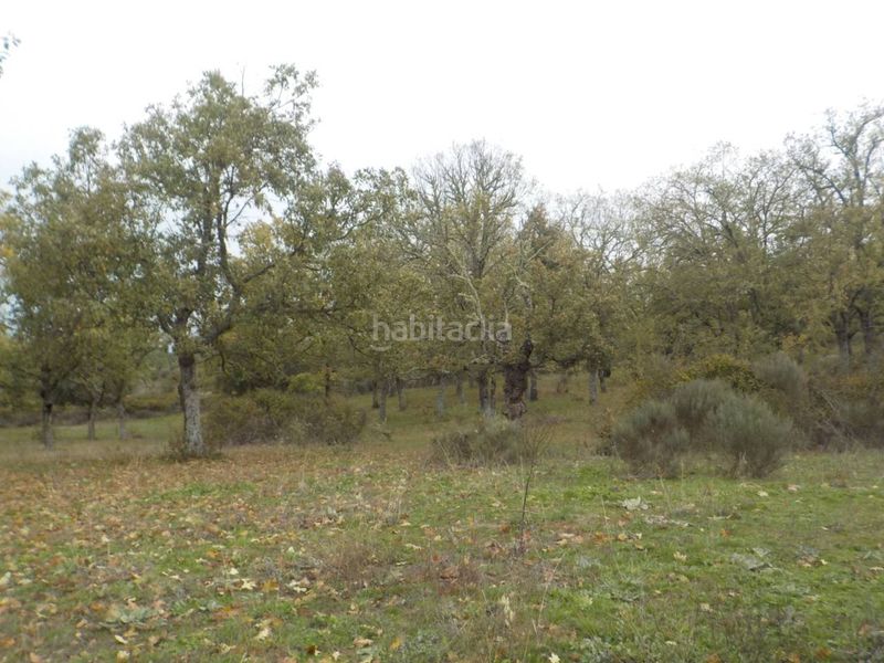 Foto bd92b3a0-c471-4855-afd2-c998b6a7e988. Finca rústica a Fuenteguinaldo
