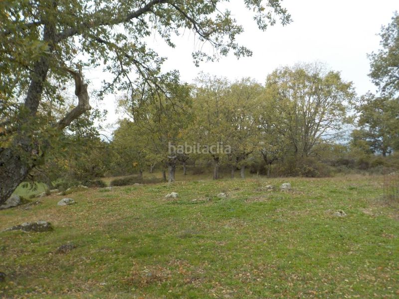 Foto c925e567-39d1-4e22-9703-ceb71e15f09b. Finca rústica a Fuenteguinaldo