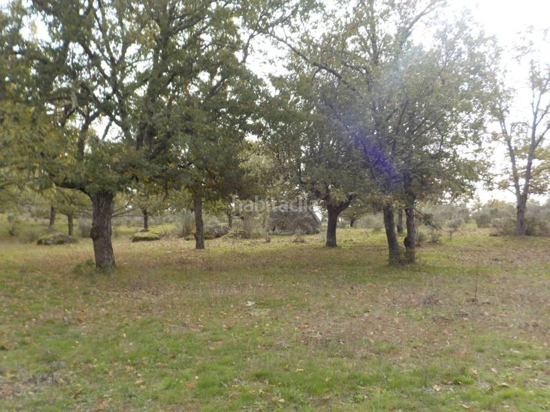 Foto ee369fdf-c0fa-4cd8-85ed-134d7bd85779. Finca rústica a Fuenteguinaldo