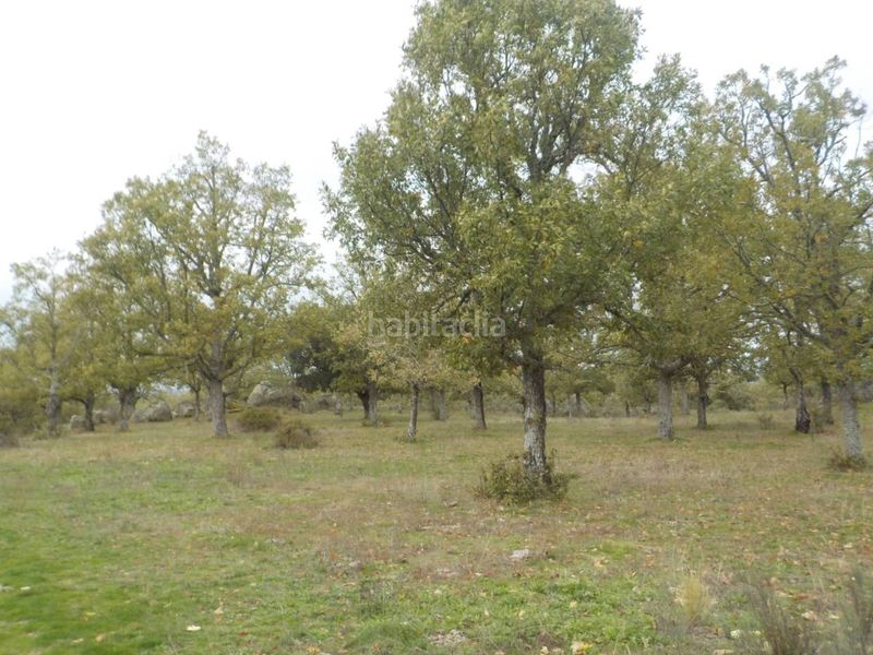 Foto f62592bb-4bb2-45a7-a65d-eafcb801767d. Finca rústica a Fuenteguinaldo