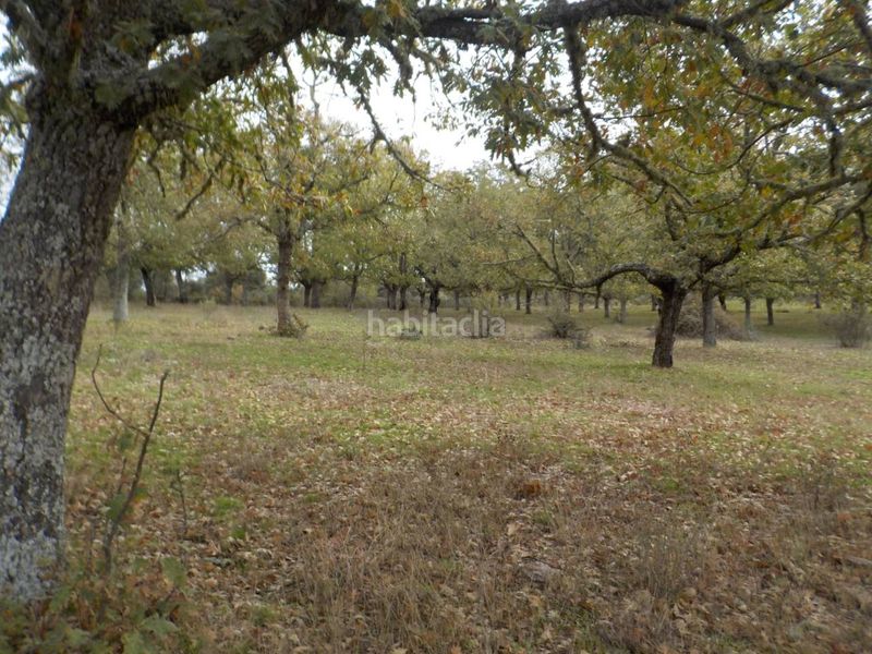 Foto ff938f54-9e6b-4438-b6df-5d0203276103. Finca rústica a Fuenteguinaldo