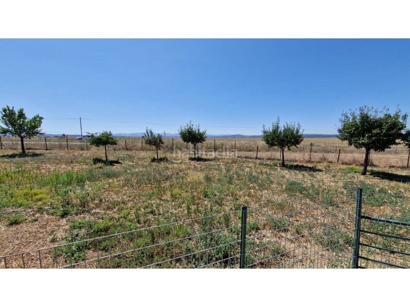 Foto f54f70a8-5aca-4c9e-b881-5a41378e64d1. Finca rústica a Ciudad Rodrigo