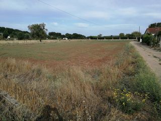 Wohngrundstück  Calle santa cruz. Parcela en venta en ciudad rodrigo