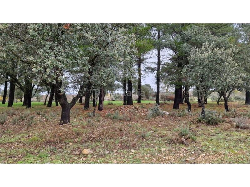 Foto 243a81dc-ef7f-4ab8-9a89-9e62a5c41ea6. Wohngrundstück in 24 46 in Ciudad Rodrigo