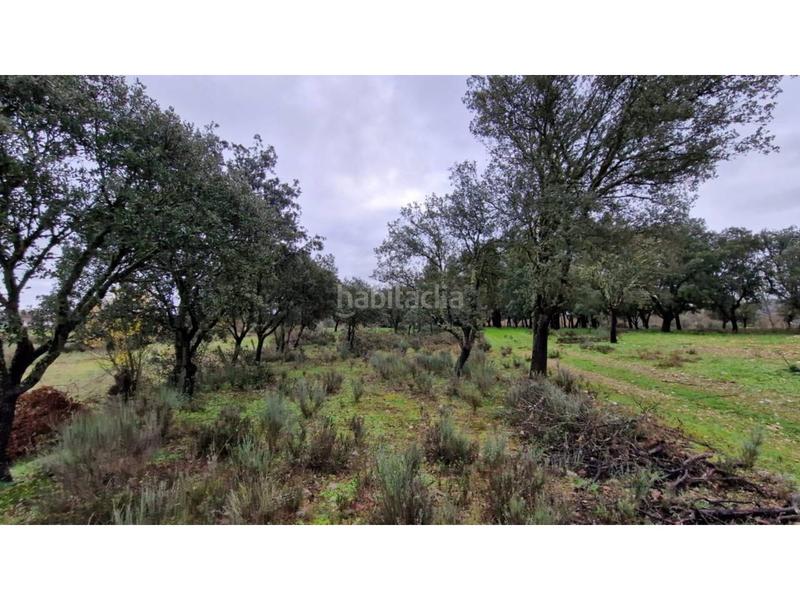 Foto 7a304982-7b06-442e-b1a1-8b613a21c58e. Wohngrundstück in 24 46 in Ciudad Rodrigo