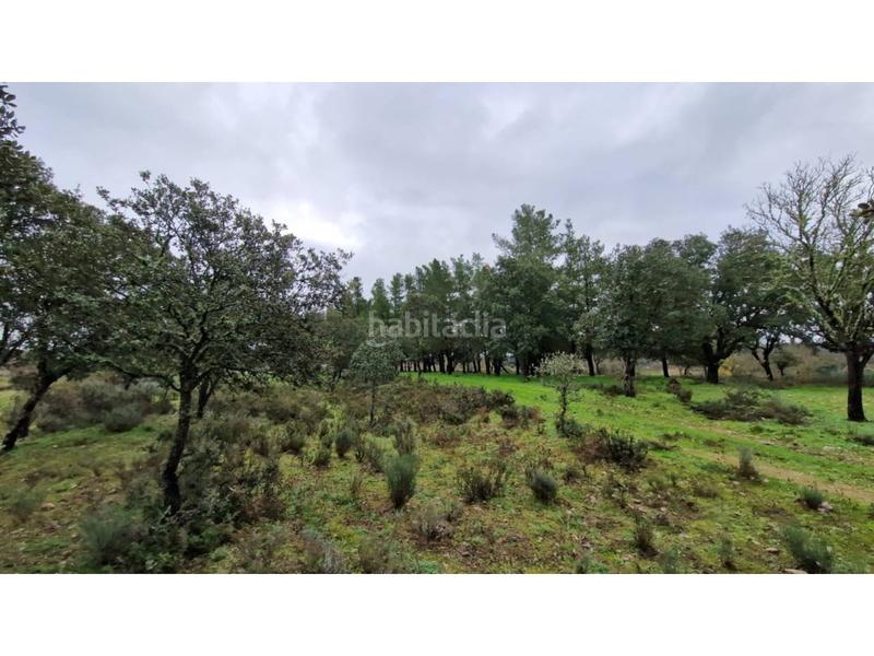 Foto 7f3b6651-ca76-4642-9766-53701a88db34. Wohngrundstück in 24 46 in Ciudad Rodrigo