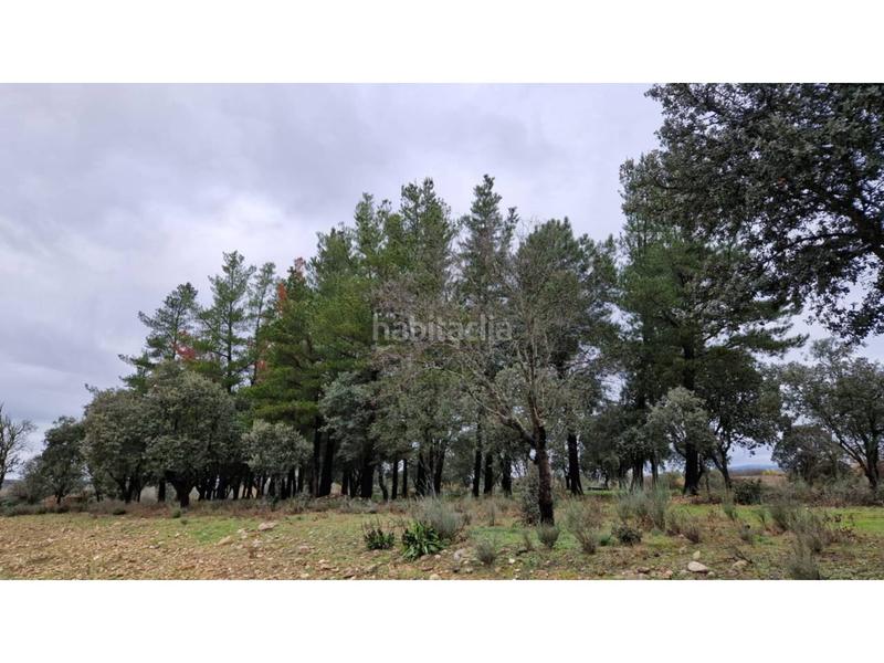 Foto a6b01415-8110-4bb5-bf30-1199be26de20. Wohngrundstück in 24 46 in Ciudad Rodrigo