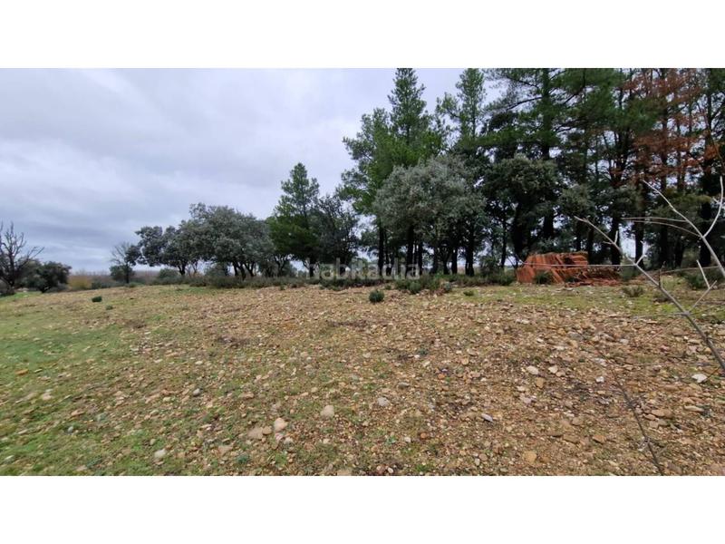 Foto ce725f37-13d8-4946-b6c3-72acaf4c18af. Wohngrundstück in 24 46 in Ciudad Rodrigo